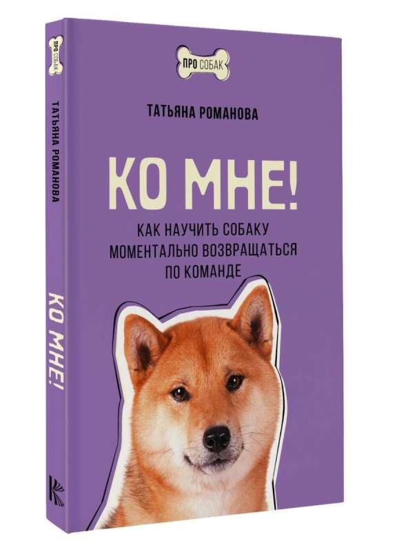 Do mnie! Jak nauczyć psa natychmiastowego powrotu na komendę