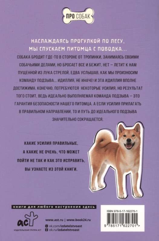Do mnie! Jak nauczyć psa natychmiastowego powrotu na komendę