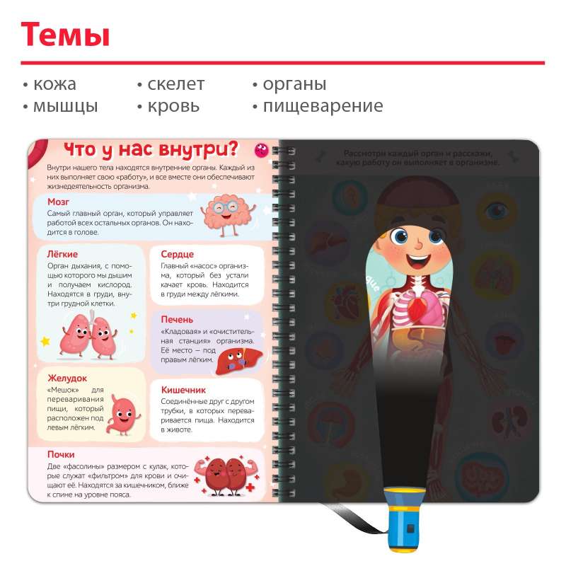 Inteligentna książka z latarką Moje ciało. Świeć i odkrywaj