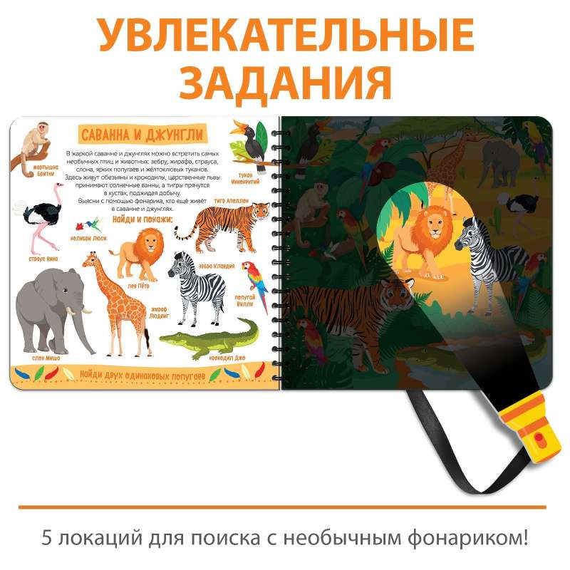 Sekretna książka z magiczną latarką Zooland