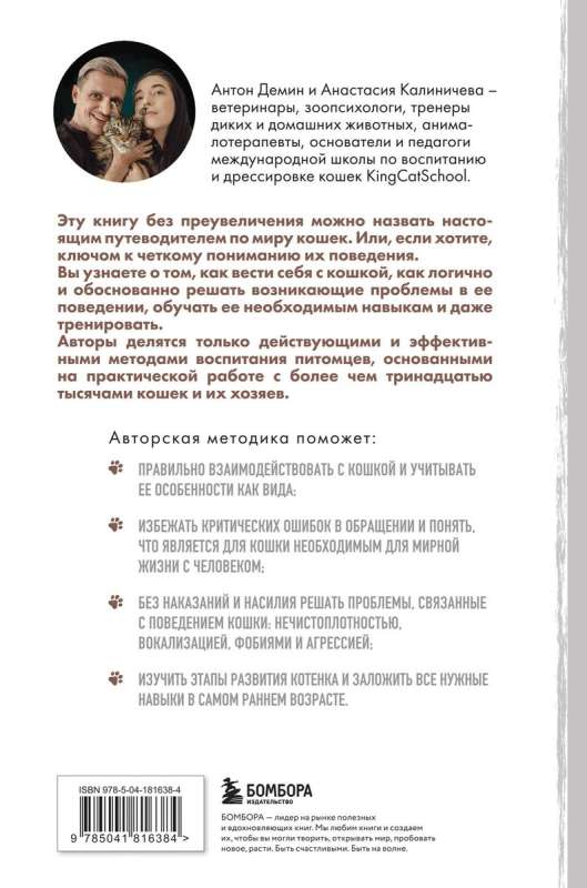 Kotomaniya. Co kryje się za zachowaniem kota i jak wychować go bez karania