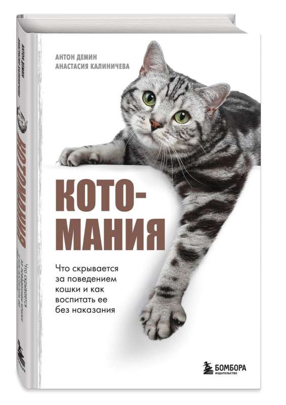 Kotomaniya. Co kryje się za zachowaniem kota i jak wychować go bez karania