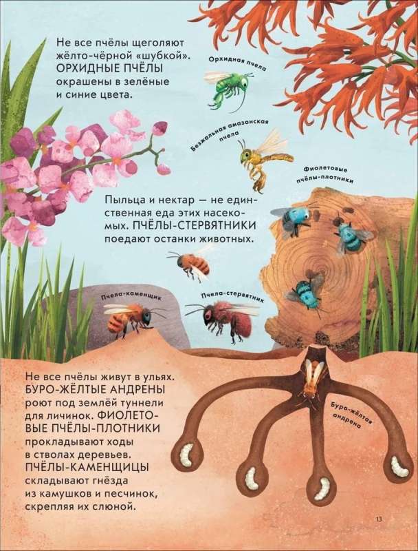 Dziecięca encyklopedia owadów