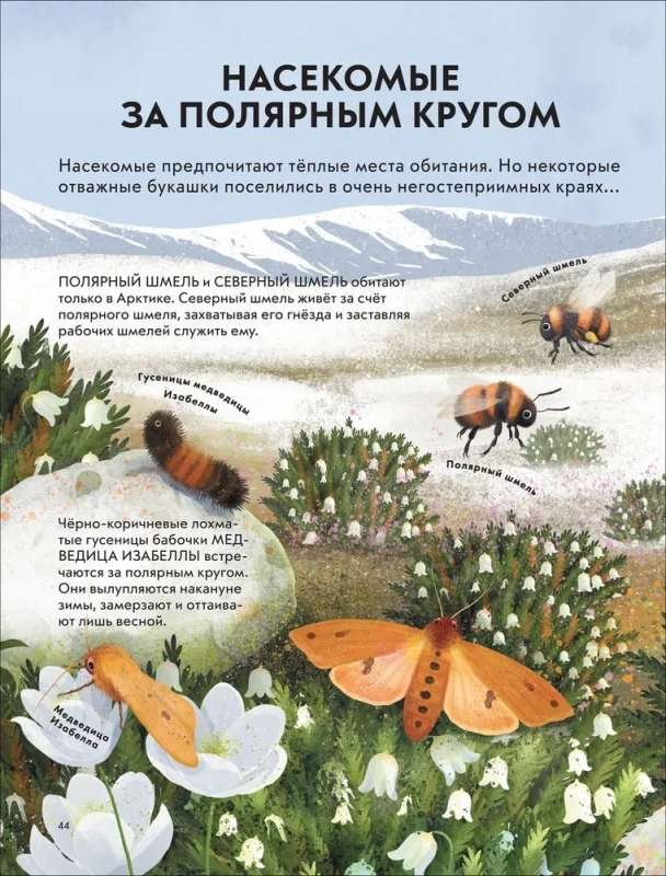 Dziecięca encyklopedia owadów