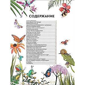 Dziecięca encyklopedia owadów