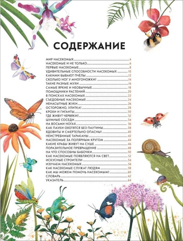 Dziecięca encyklopedia owadów