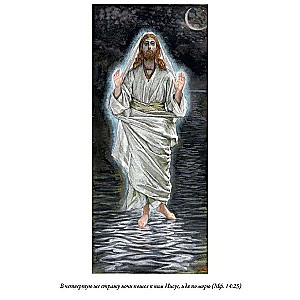Piibel. Uus Testament