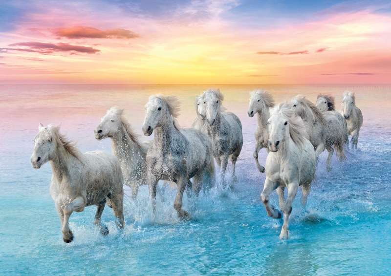 Puzzle 500 Trefl: Galloping white horses