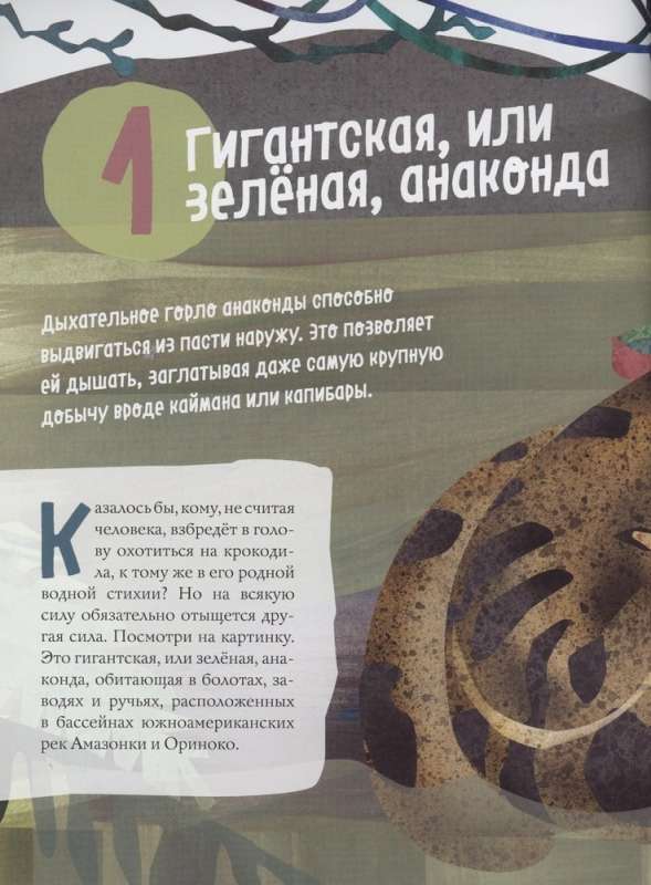 Węże. Wspaniała dziesiątka