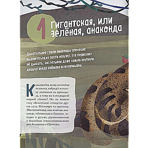 Węże. Wspaniała dziesiątka