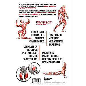 Anatomy of Functional Training. A Guide on How to Properly Train the Body