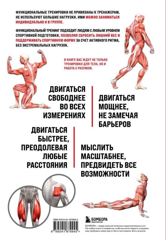 Anatomy of Functional Training. A Guide on How to Properly Train the Body