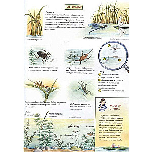 Zwierzęta i rośliny rzek, jezior i mórz. BIObook A. Tolmaczewa