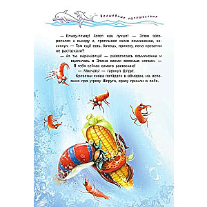 Saules delfīna noslēpums