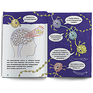 Neuralabirynt