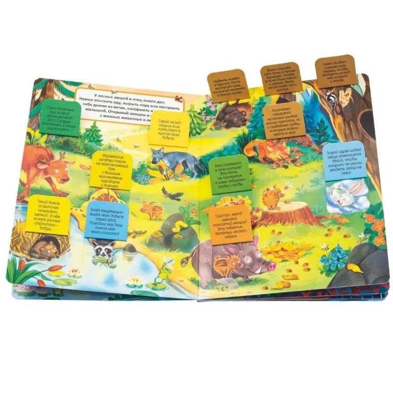 These funny animals. A book with windows