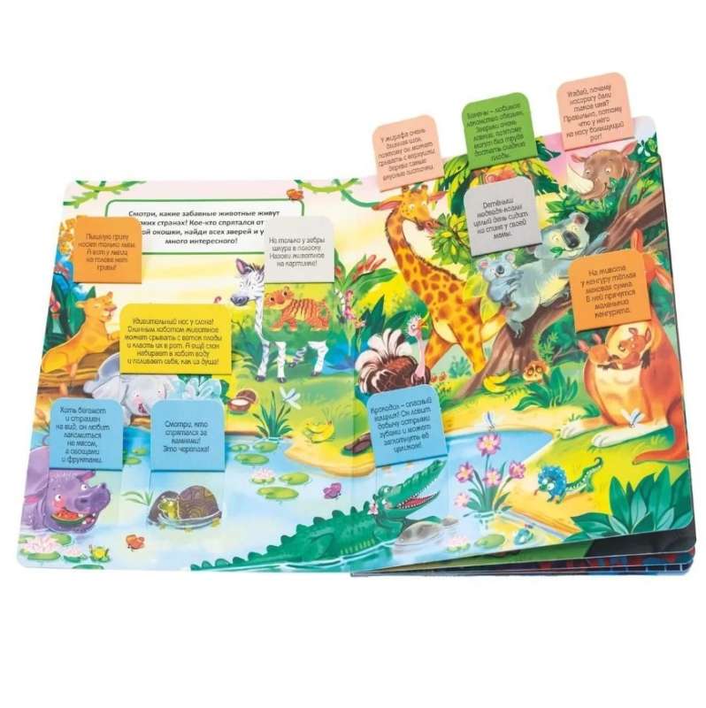These funny animals. A book with windows