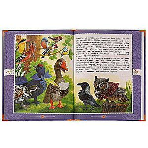 Fairy Tales