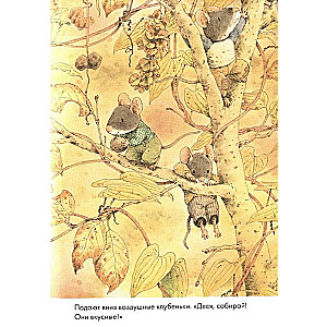 14 Waldbewohnende Mäuse. Süßkartoffel