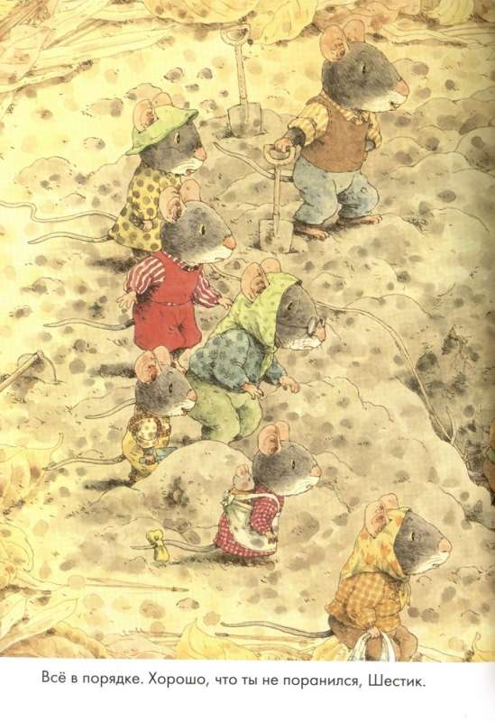 14 Waldbewohnende Mäuse. Süßkartoffel