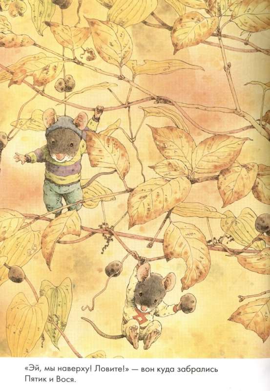 14 Waldbewohnende Mäuse. Süßkartoffel