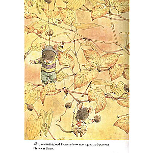 14 Waldbewohnende Mäuse. Süßkartoffel