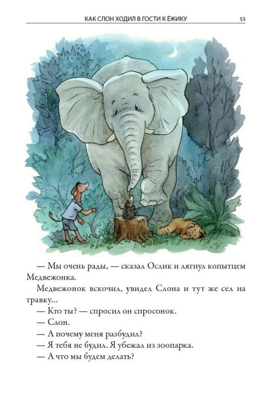 Jeżyk w mgłę