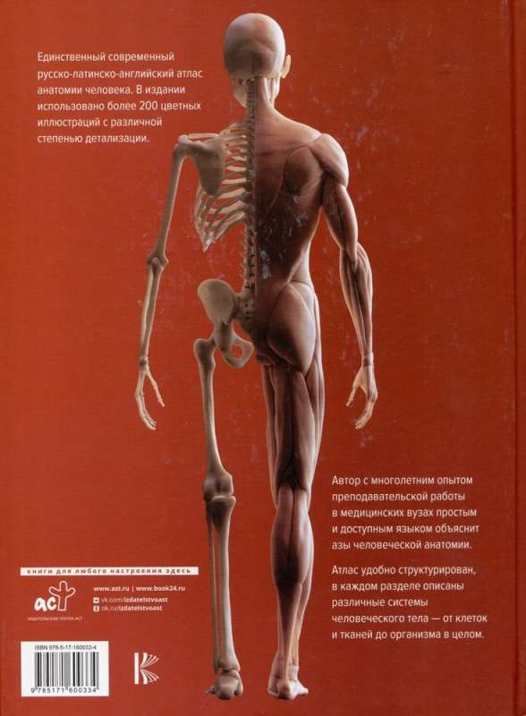 Atlas of Human Anatomy. Russian-Latin-English Edition