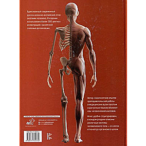 Atlas of Human Anatomy. Russian-Latin-English Edition
