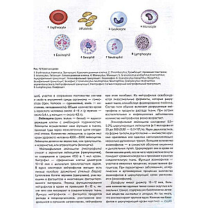 Atlas of Human Anatomy. Russian-Latin-English Edition