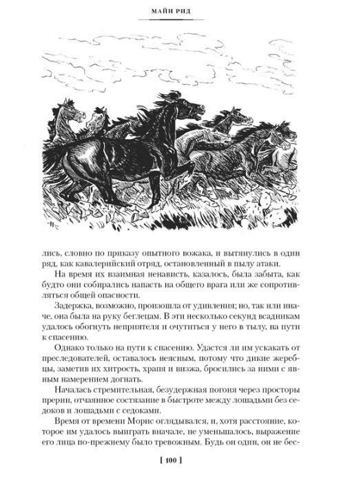 Jātnieks bez galvas. Jūras vilcēns