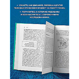 Embodied Intelligence. A Paradoxical Discovery about How the Body Determines Our Emotions, Behavior, and Temperament