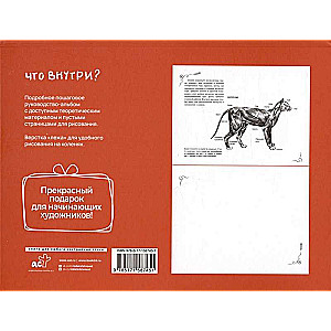 Anatomija māksliniekiem. Ekspress-kurss + skiču grāmata