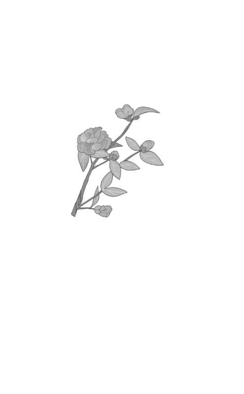 The Flower Heart