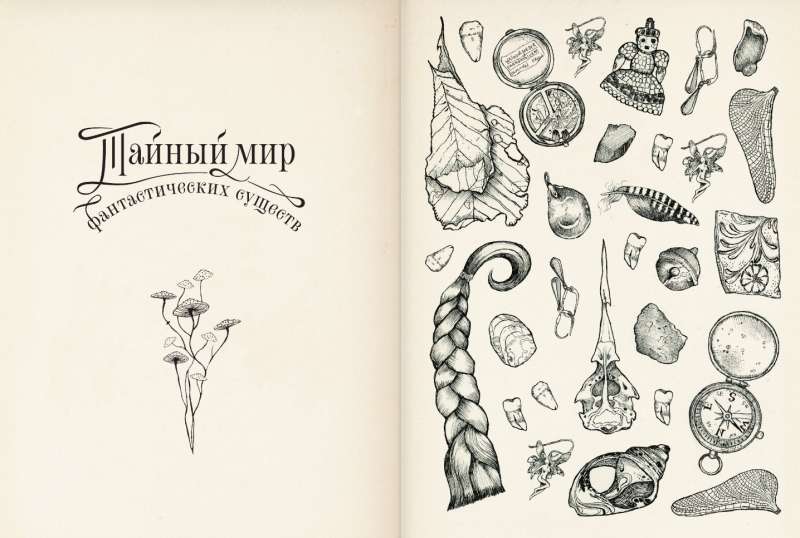 The Secret World of Fantastic Creatures