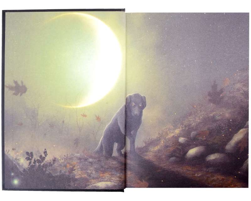 Zelazny's Illustrated Set. Jack of Shadows. A Night in October's Gloom