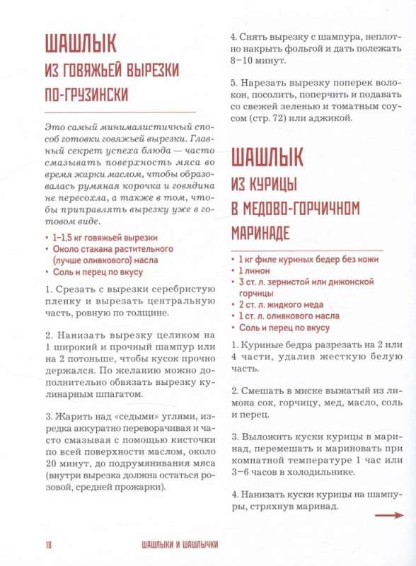 Кебабы. Техника и секреты приготовления. 60 рецептов шиш-кебабов, дёнер-кебабов, люля-кебабов