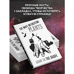 Interesantākās augu sugas aug ēnā. Lieta. Punktu bloks