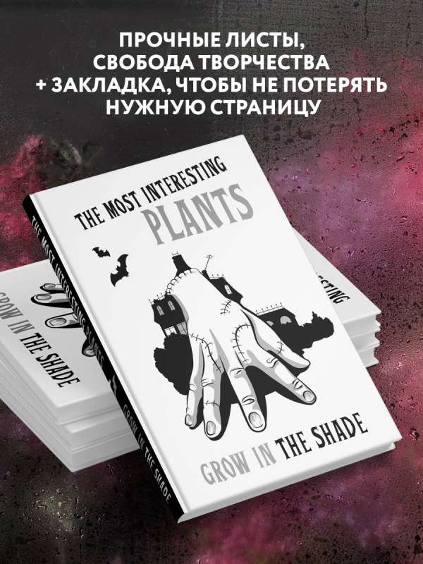 Interesantākās augu sugas aug ēnā. Lieta. Punktu bloks