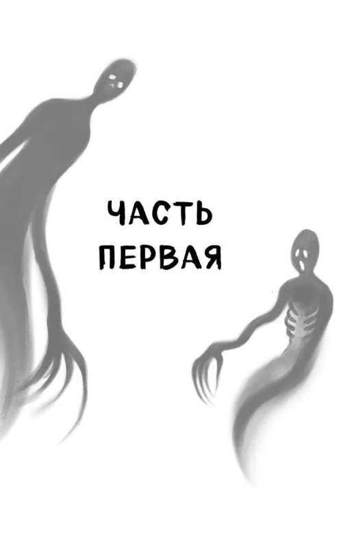 Год теней