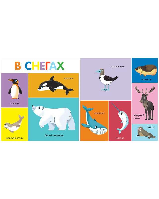 My First Words. 100 Animals