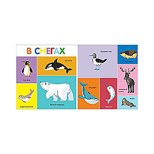 My First Words. 100 Animals
