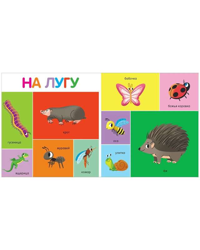 My First Words. 100 Animals
