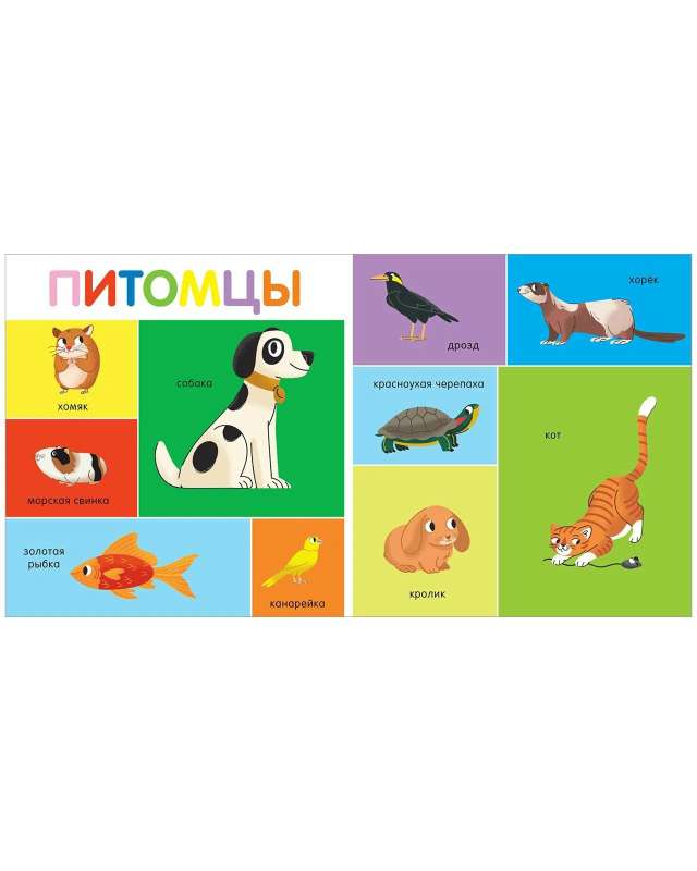 My First Words. 100 Animals