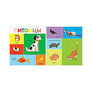 My First Words. 100 Animals