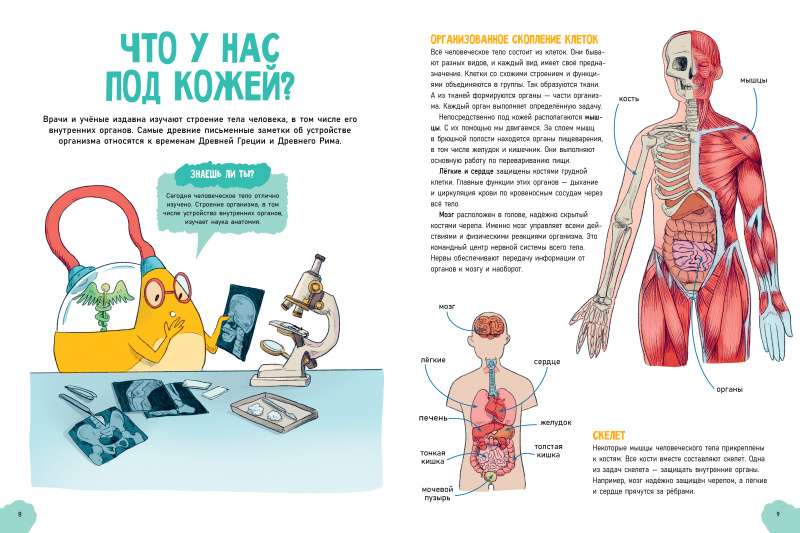 The Incredible Human Body