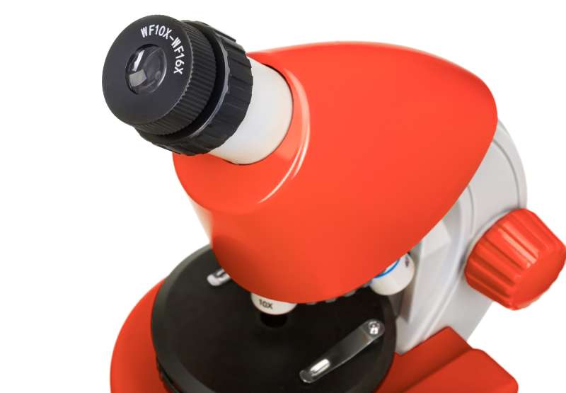Discovery Micro Terra Microscope, 40x-640x, with Book
