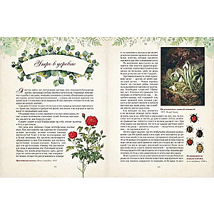 Gifts of the Russian Forest. Mushrooms, Berries, and Healing Plants