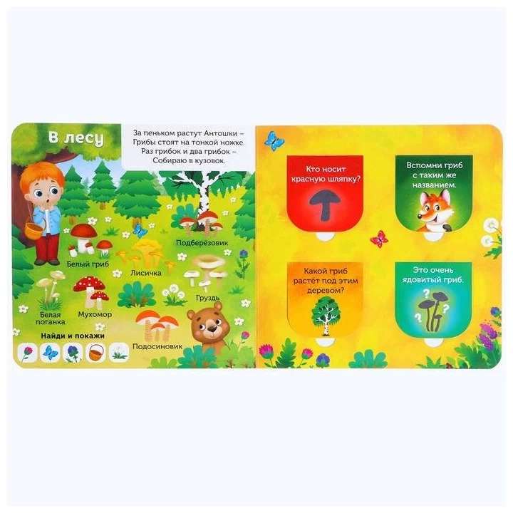 Cardboard Book with Windows. In the Forest, Garden, and Vegetable Garden