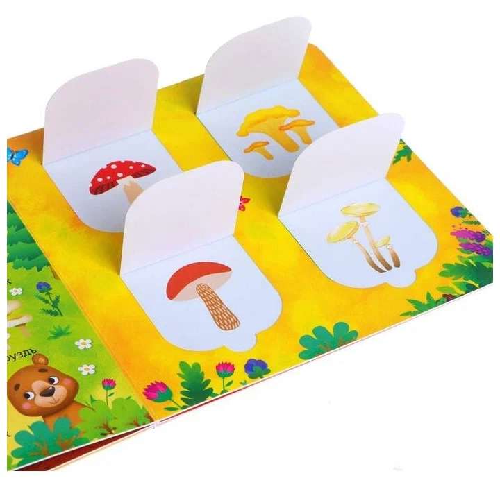 Cardboard Book with Windows. In the Forest, Garden, and Vegetable Garden